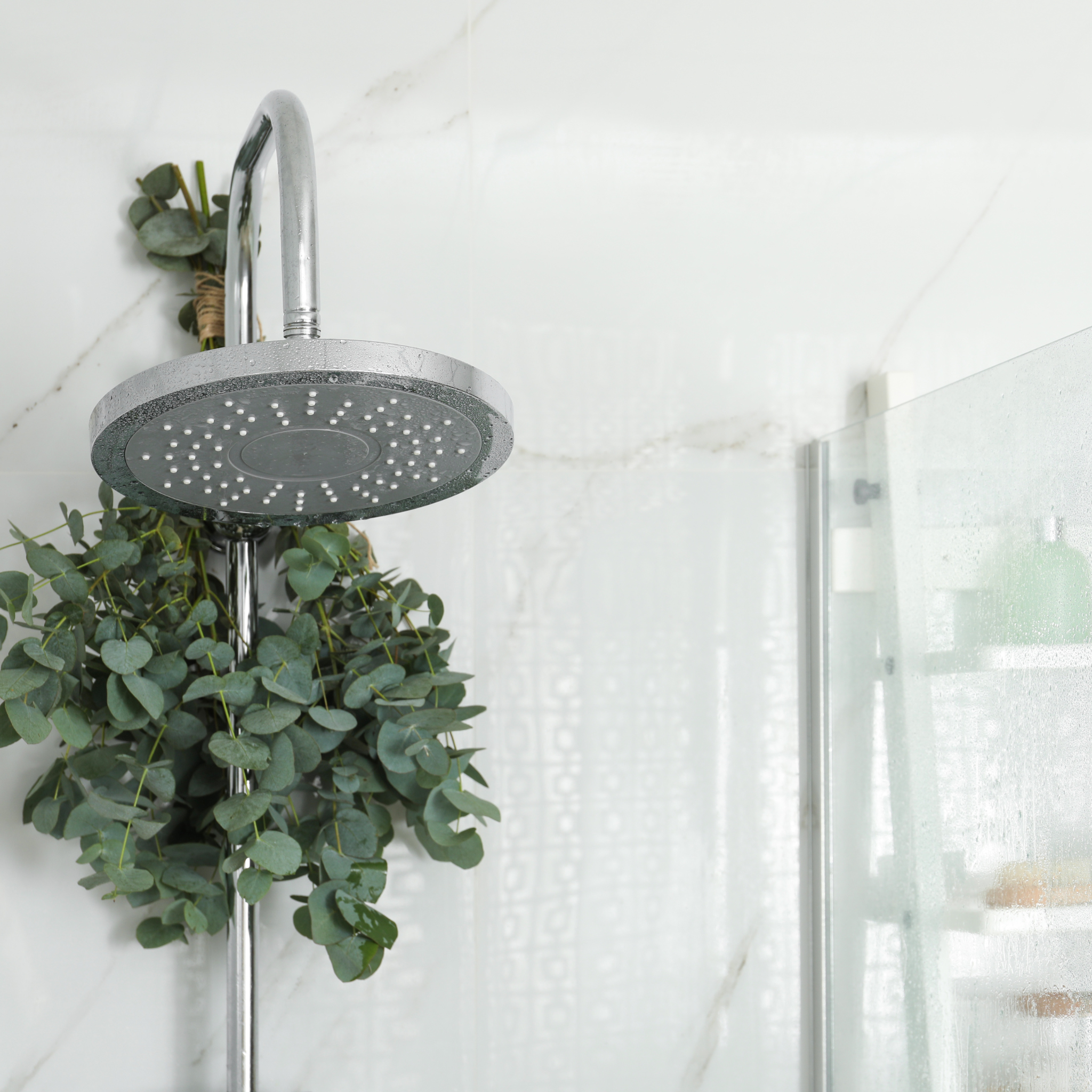 Shower Head with Eucalyptus Leaves Hanging on White Background Ad for Wax Melt Home Fragrances